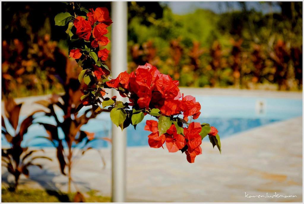 Casas Di Monte Ecopousada Hotel Morretes Bagian luar foto